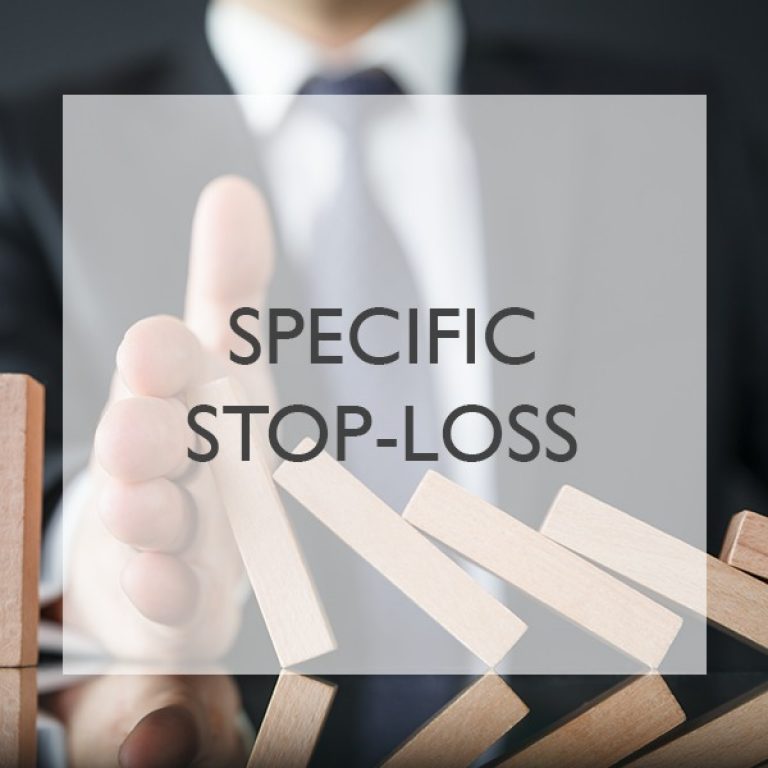 Dallas Risk Management – Dallas Risk Management