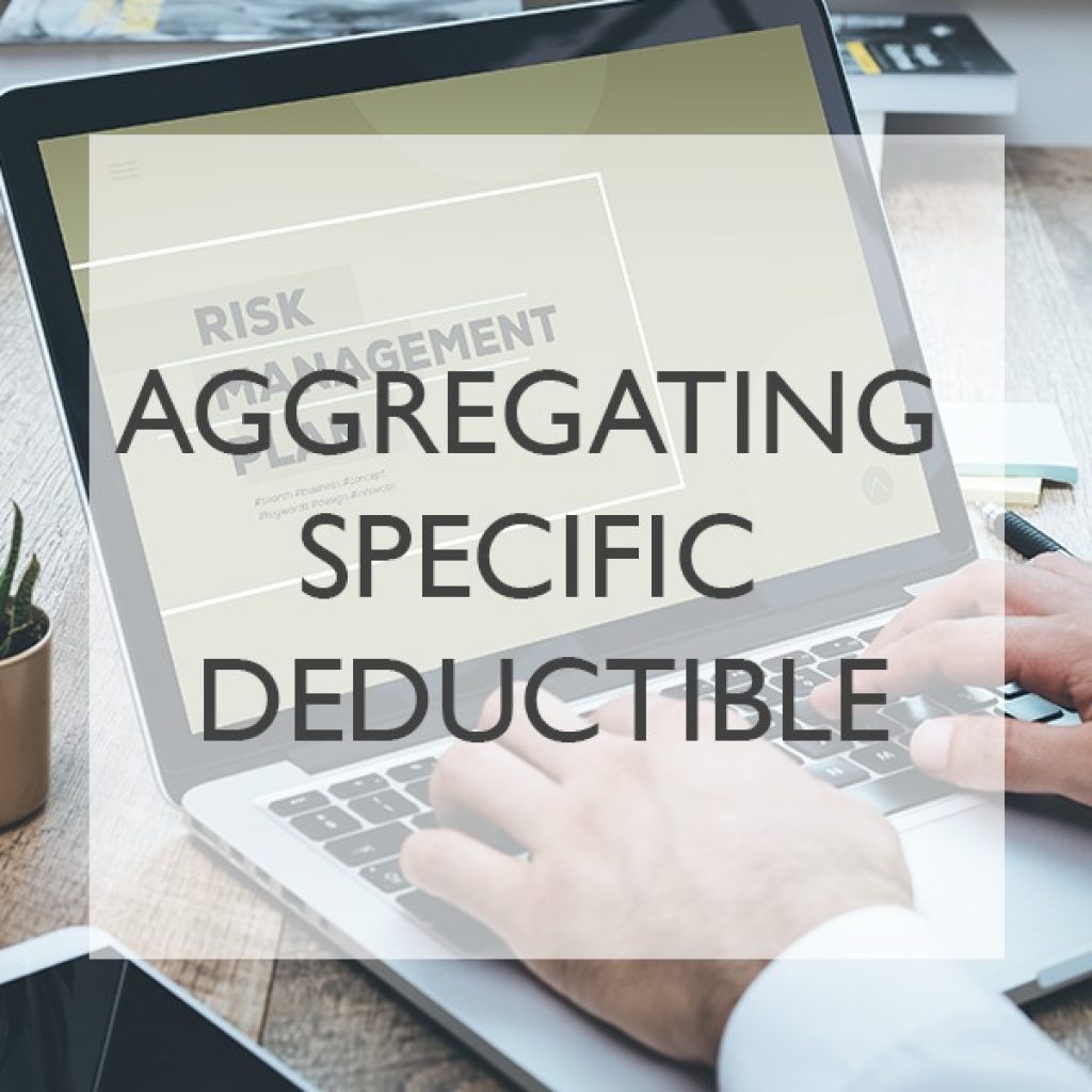 Services Dallas Risk Management