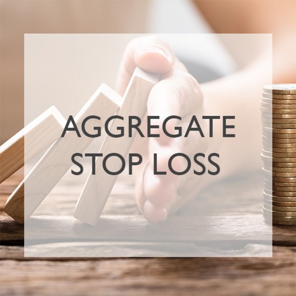 Services Dallas Risk Management